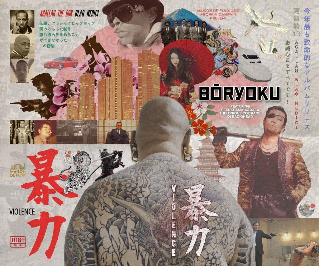 Cover art for BōRYOKU