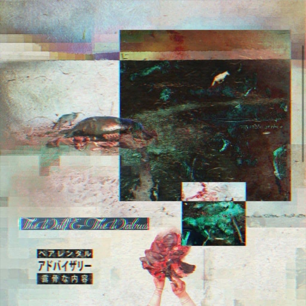 Cover art for The Wolf & The Walrus