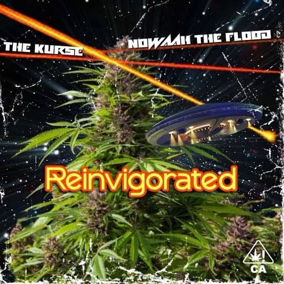 Cover art for REINVIGORATED EP
