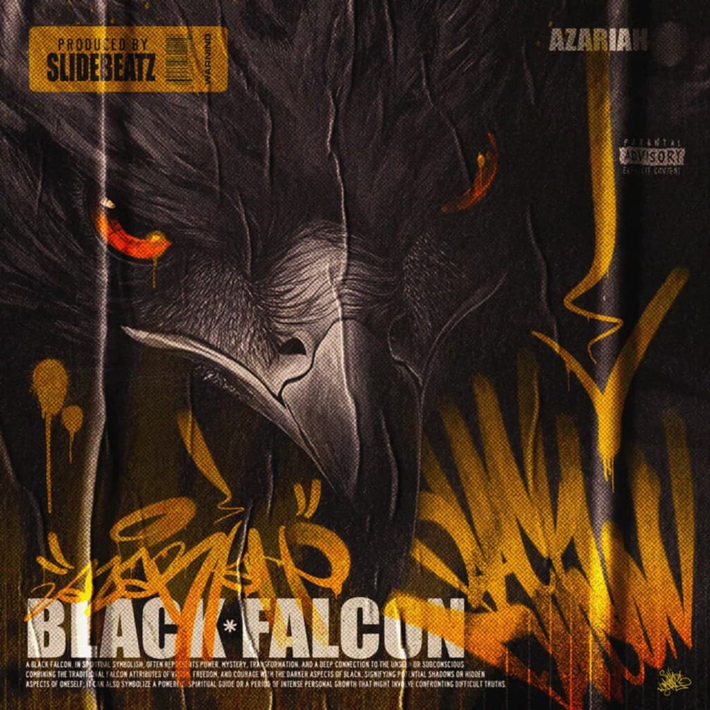 Cover art for Black Falcon