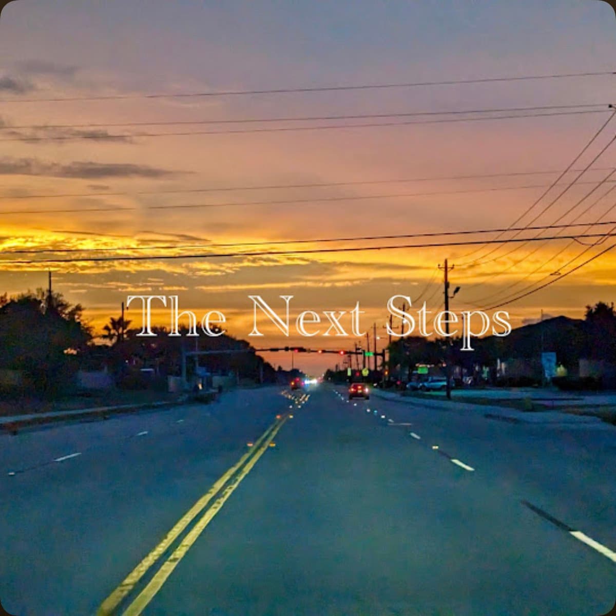 Cover art for The Next Steps