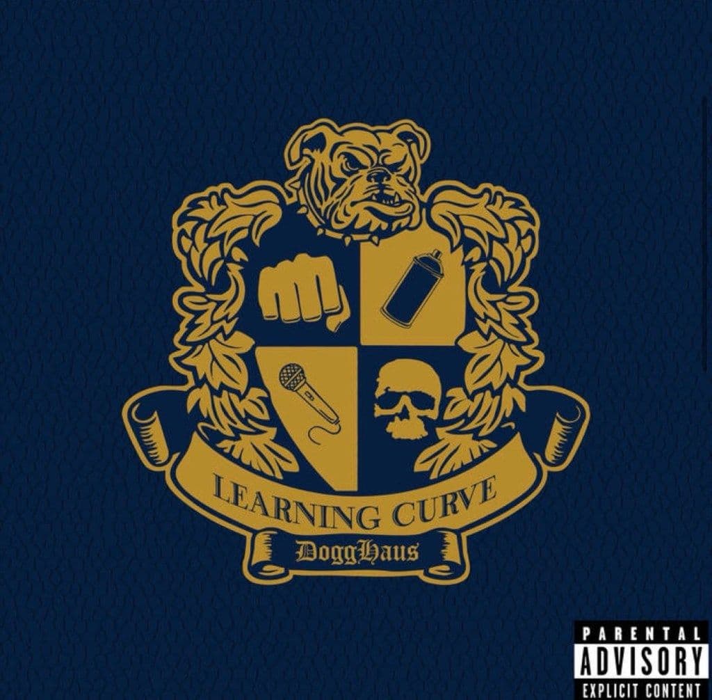 Cover art for LEARNING CURVE