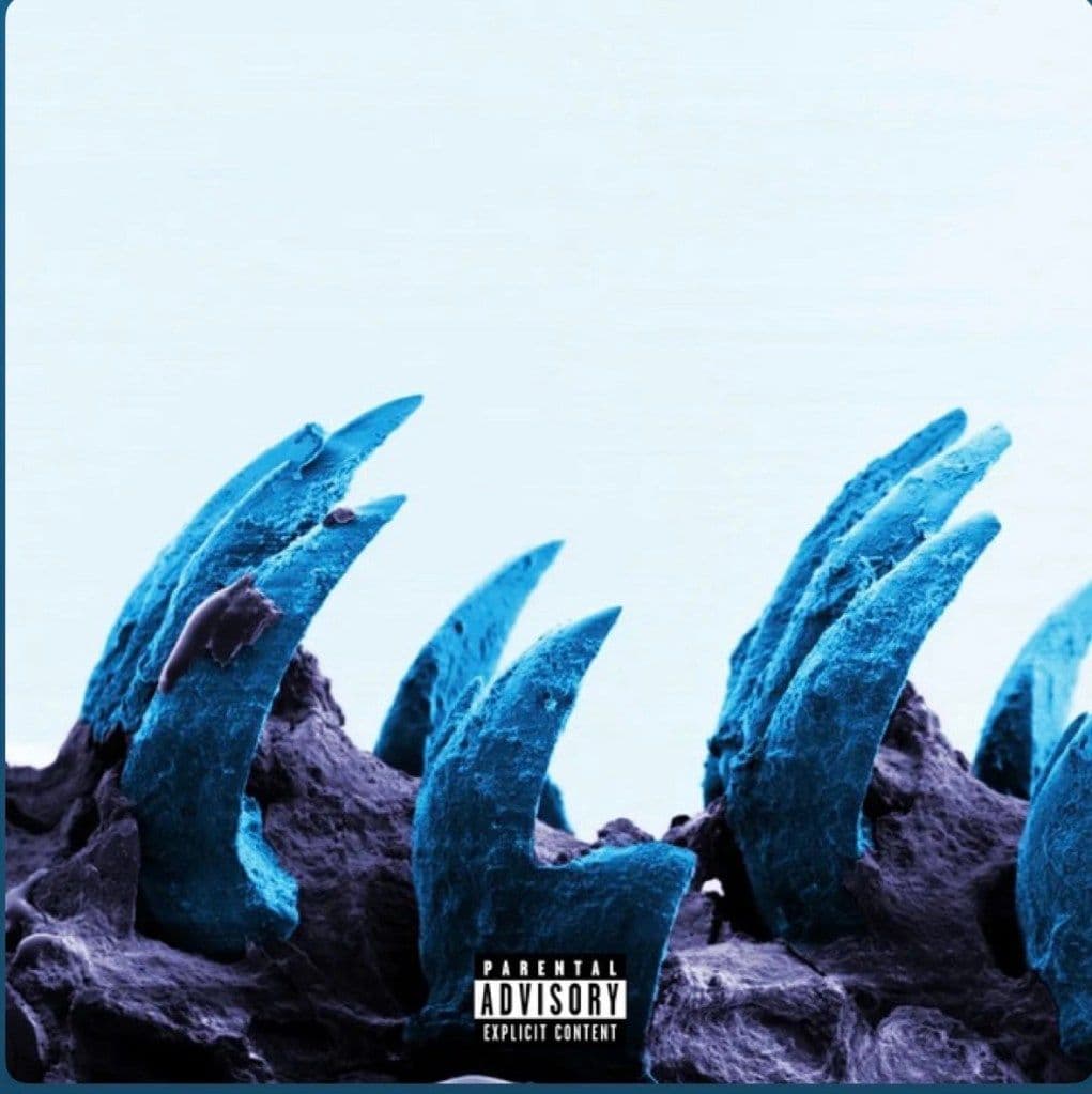 Cover art for Raw Materials