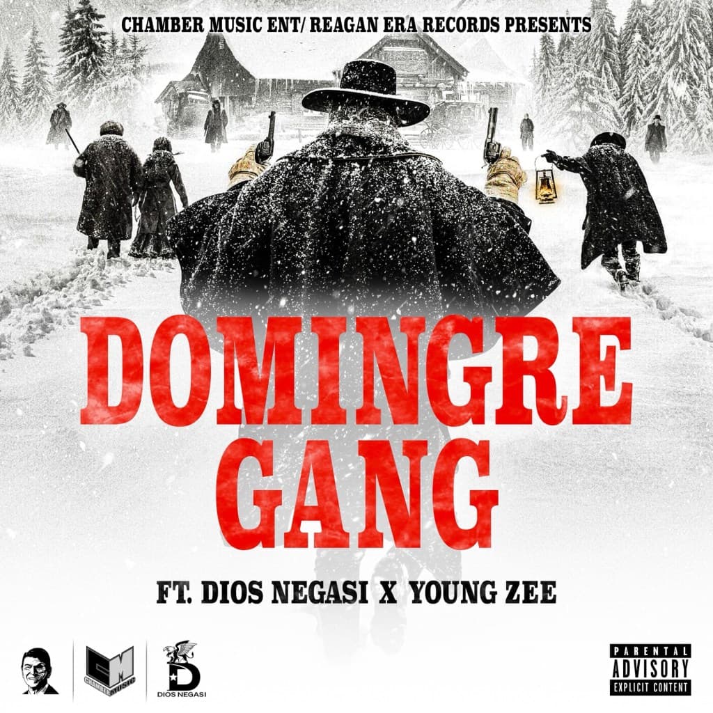 Cover art for Domingre Gang